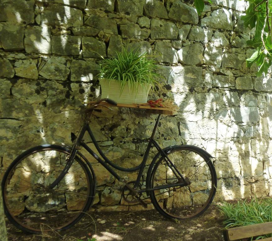 Liola Guest House Модика Екстериор снимка